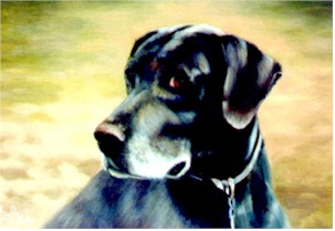 Greu - Oil Painting
