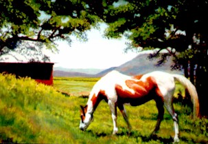 Trooper - Pastel Painting